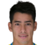 Sergio Araujo