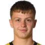 Lewin Blum