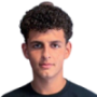 Sergi Dominguez