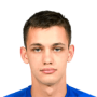 Volodymyr Shepelev