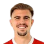 Nemanja Milojevic