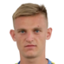 Victor Sotnikov