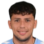 Gustavo Hamer
