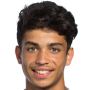 Adil Taoui