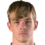 Toby Collyer