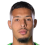 Theo De Percin