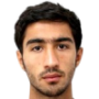 Seyed Mohammad Karimi