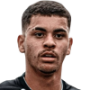 vitor sapata