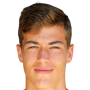 Luka Sucic