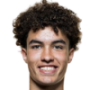 Noah Darvich