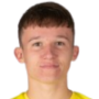 Mitja Ilenic