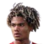 Aaron Malouda