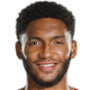 Joe Gomez