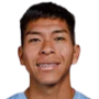 Ervin Vaca