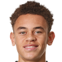 Luke Amos