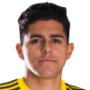 Luis Palma