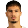 Nikola Simić