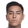 Erick Pulgar