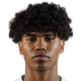 Gustavo Furtado