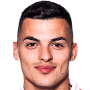 Nemanja Radonjic