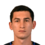 Taras Stepanenko