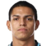 Alejandro Jesus Bran Flores