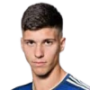 Milan Vukotic