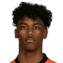 Jaden Slory