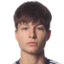 Esmir Bajraktarevic