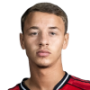 Amir Ibragimov