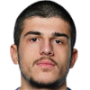 Mefarishvili
