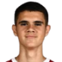 Kosta Nedeljkovic