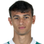 Fabio Cristian Chiarodia