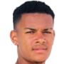 Newton 