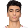 Amirmohammad Razzaghinia