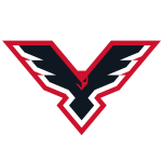 Пинские Ястребы