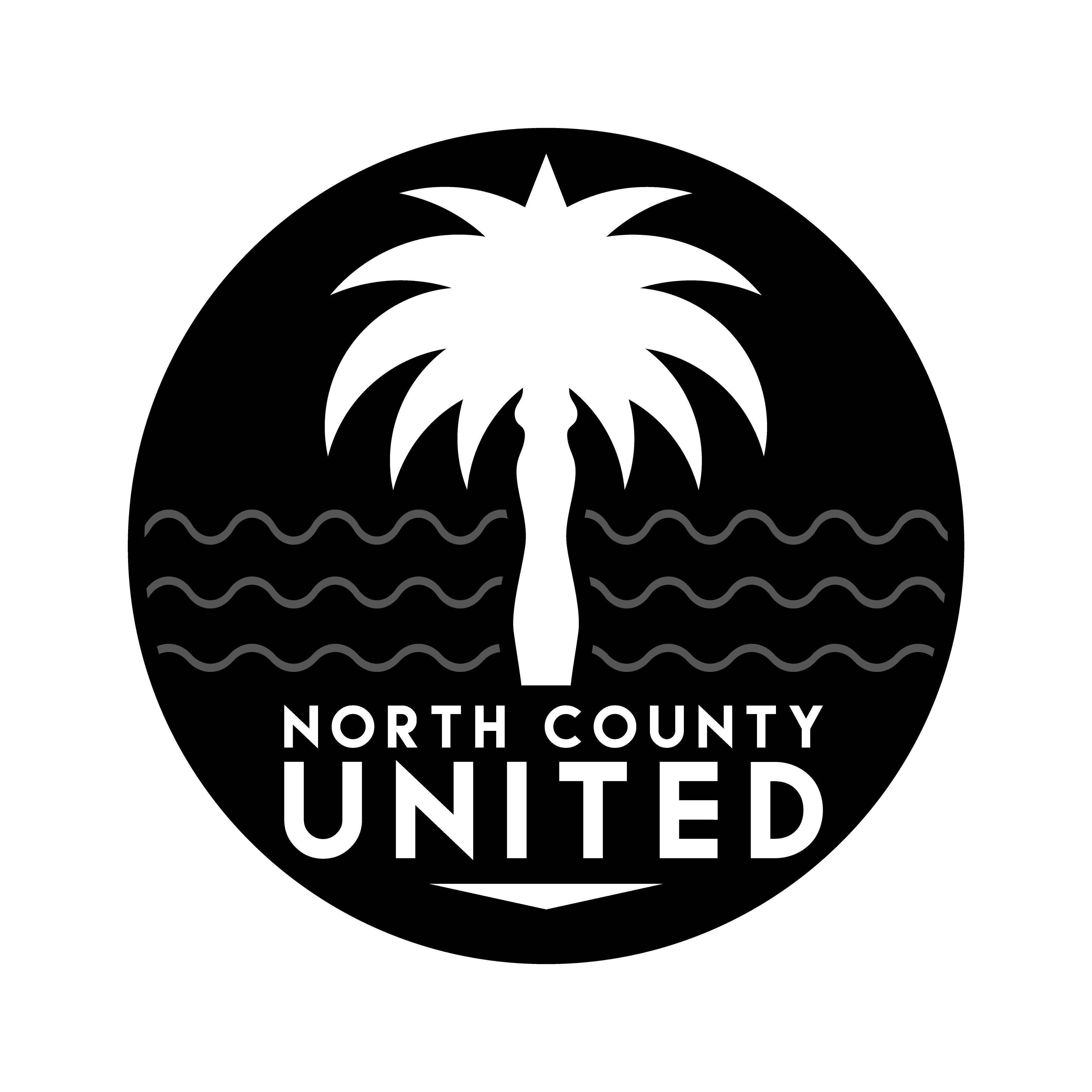 Норт Каунти Юнайтед