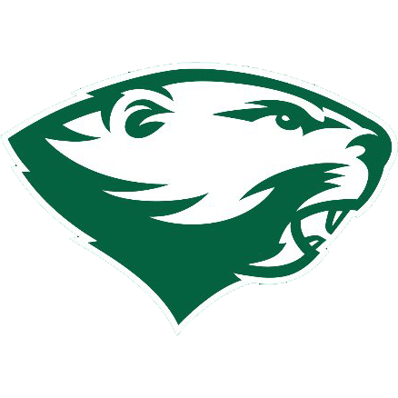 Бабсон Биверс