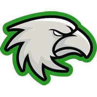 Айсхоукс до 20