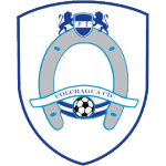 Кольчуга ЦД