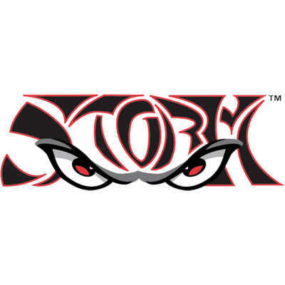 Лейк Элсинор Сторм