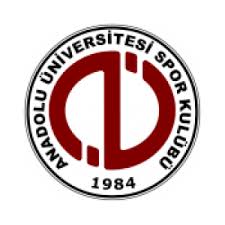 Университет Анадолу