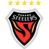 Pohang Steelers (SRL)