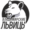Владимирские львицы (Ж)