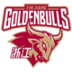 Чжэцзян Голден Буллз