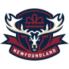 Ньюфаундленд