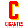 Гигантес де Каролина