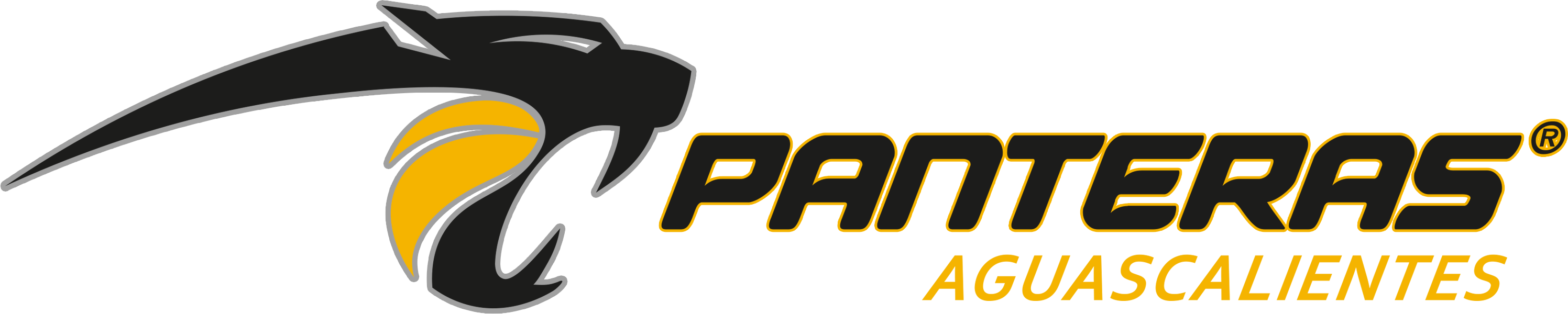 Пантерас Агуаскальентес