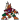 Arizona Coyotes