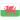 Wales U21
